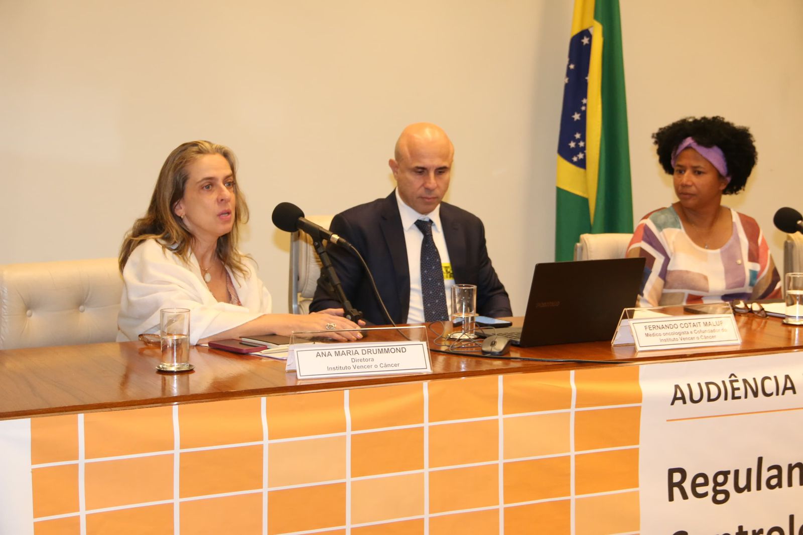 Instituto Vencer o Câncer debate pesquisa clínica, prevenção do HPV e tecnologia da informação na Câmara dos Deputados